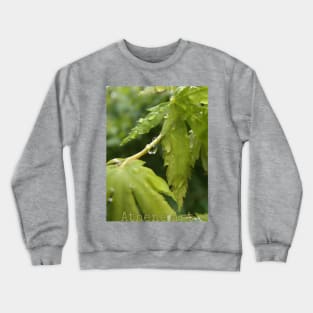 Raindrops on Leaves Crewneck Sweatshirt